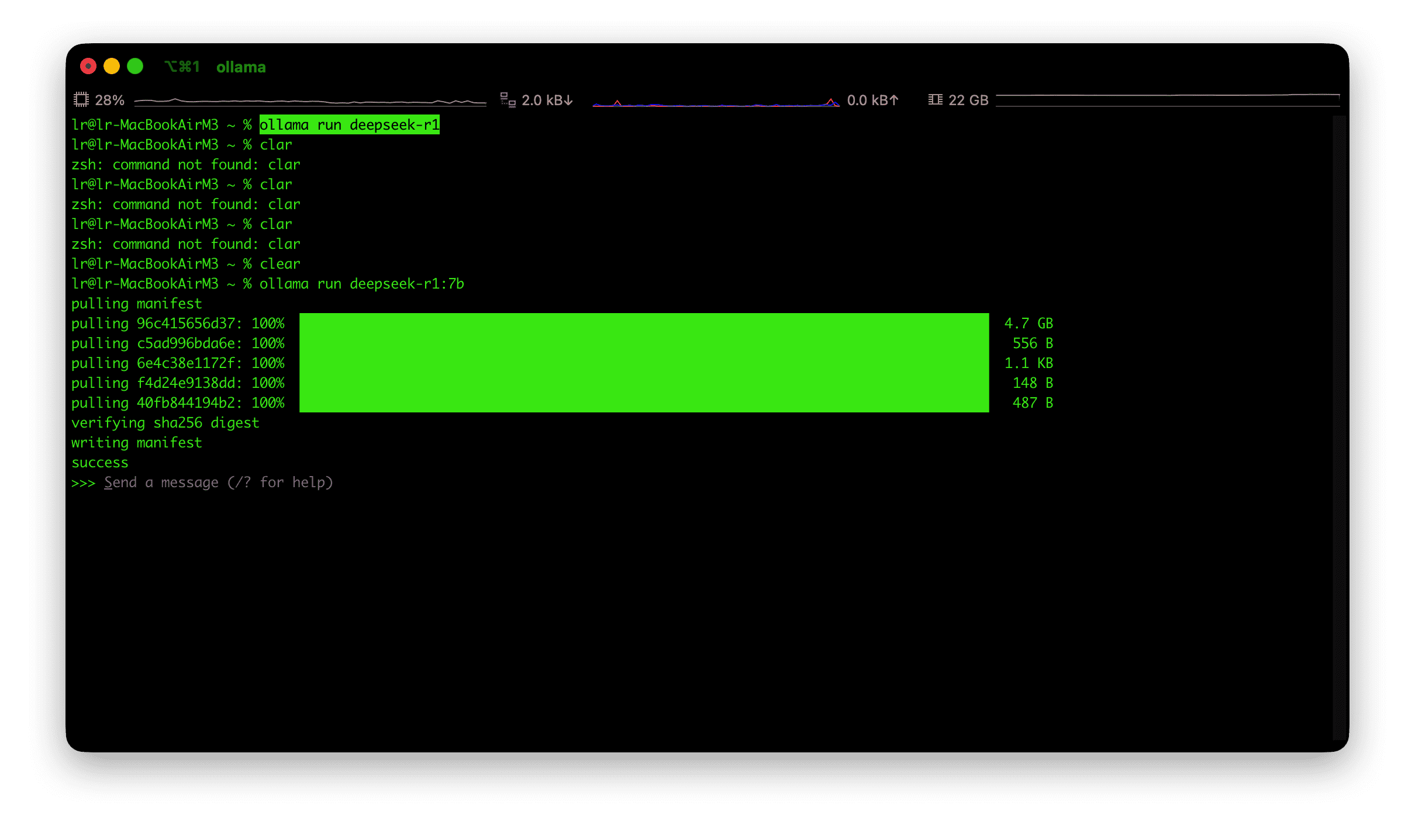 run-llm-success.png